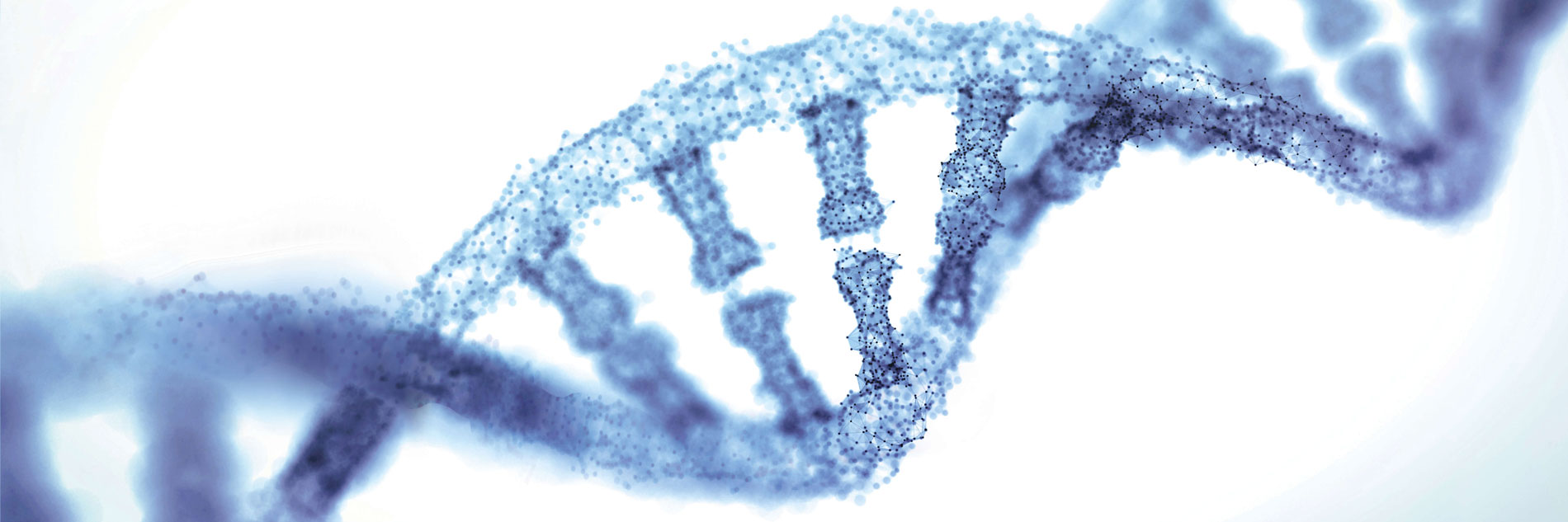 DNA Helix